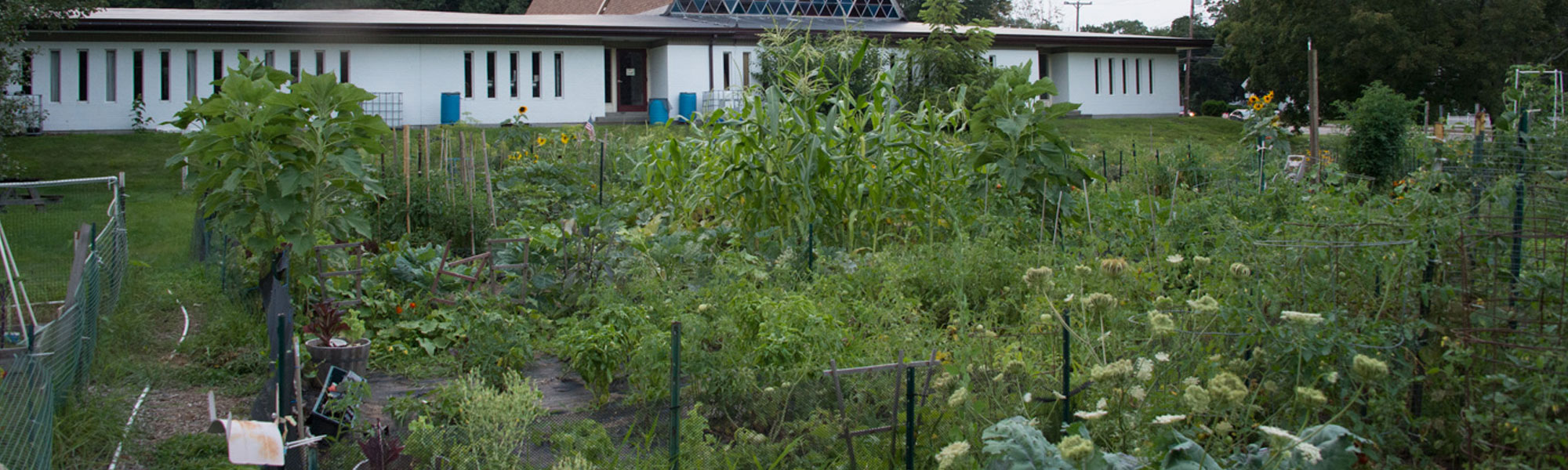 Community Garden