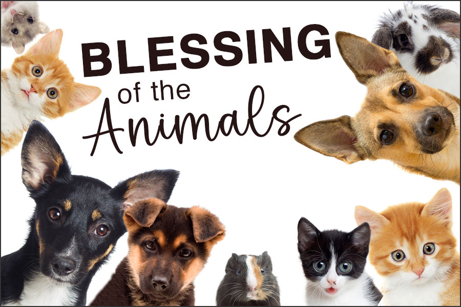 Blessing of the Animals
